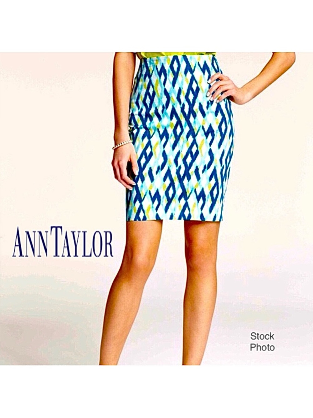 Ann Taylor Lined Pencil Skirt (16)